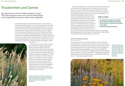 Ulmer Verlag Wächst nicht gibt's nicht Online