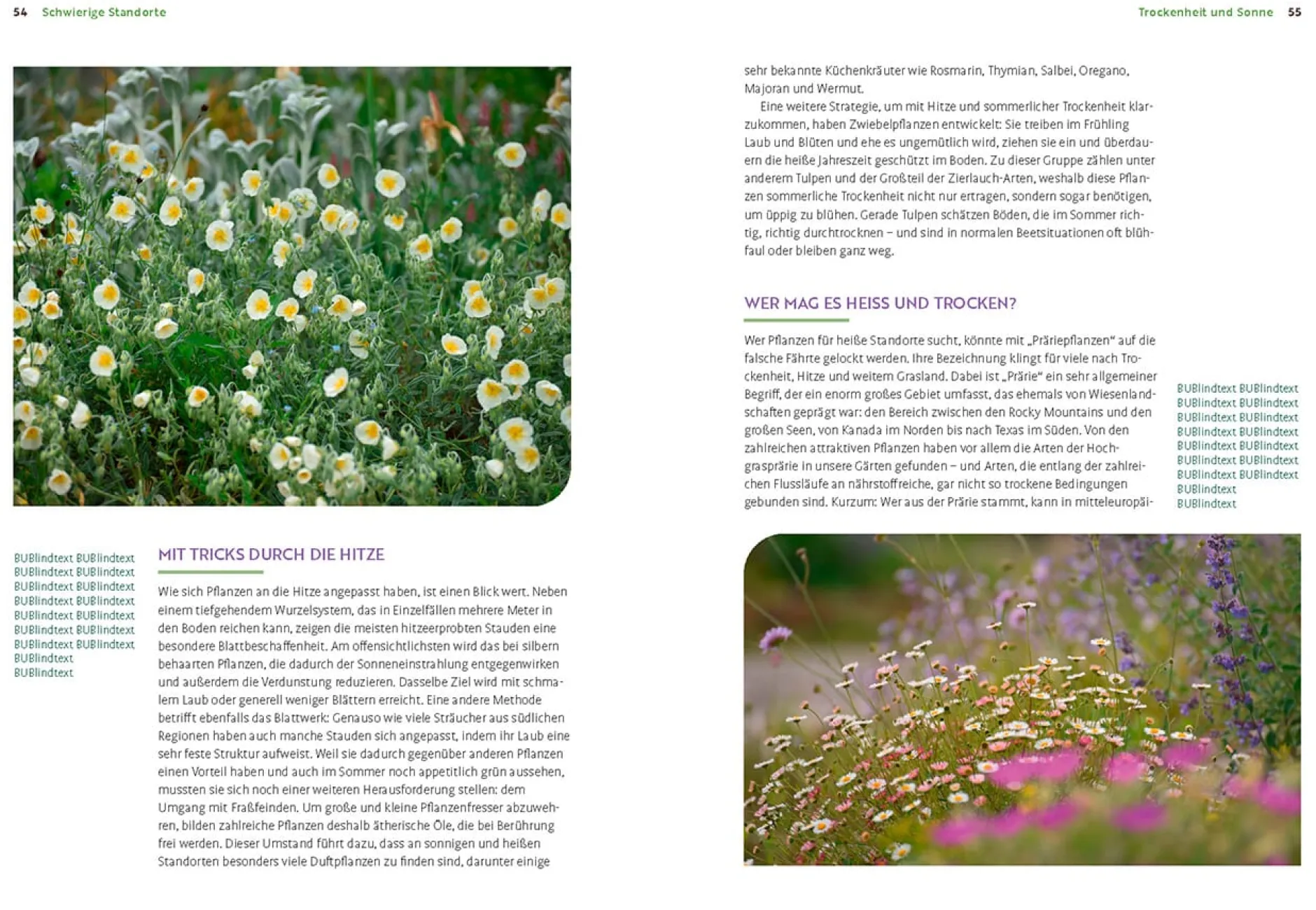 Ulmer Verlag Wächst nicht gibt's nicht Online