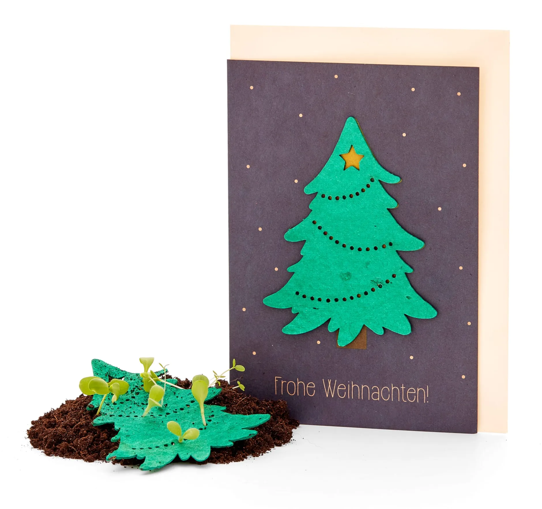 Die Stadtgärtner Weihnachtskarten mit Wildblumensamen Online