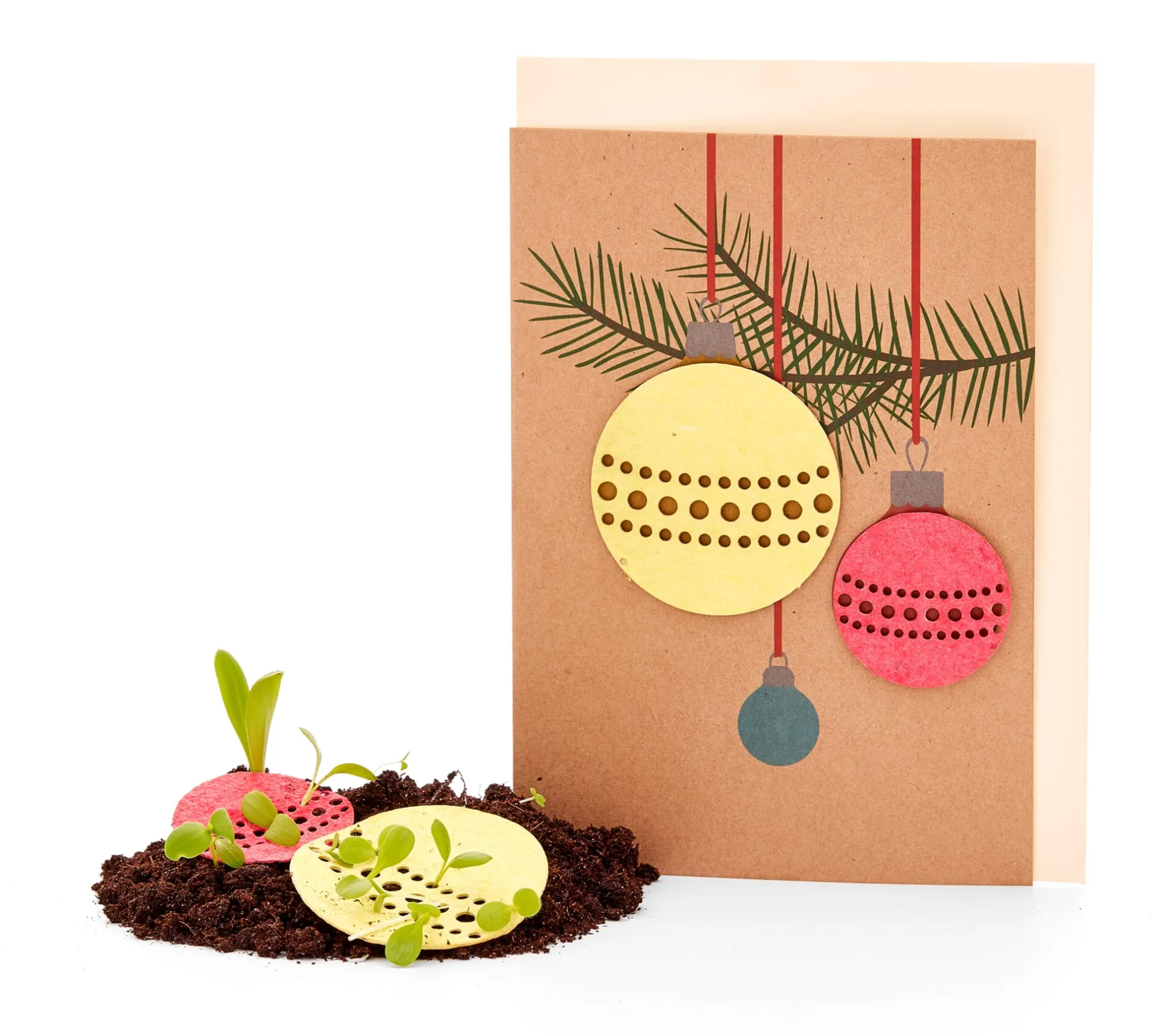 Die Stadtgärtner Weihnachtskarten mit Wildblumensamen Online