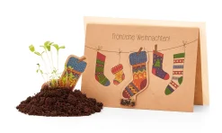 Die Stadtgärtner Weihnachtskarten mit Wildblumensamen Online