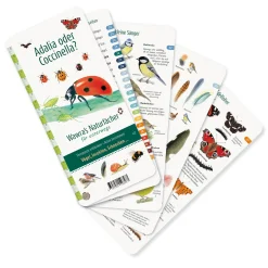 Wawra Verlag Wer hat am Zapfen gezupft? New