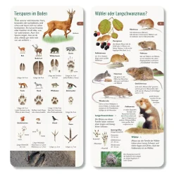 Wawra Verlag Wer hat am Zapfen gezupft? New