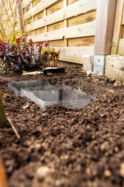 bellissa Haas Wühlmauskorb für Blumenzwiebeln