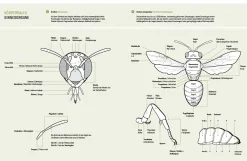 eder-roemer Verlag Wildbienenhelfer New