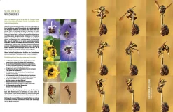 eder-roemer Verlag Wildbienenhelfer New