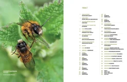 eder-roemer Verlag Wildbienenhelfer New