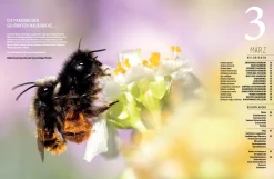 eder-roemer Verlag Wildbienenhelfer New