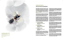 eder-roemer Verlag Wildbienenhelfer New
