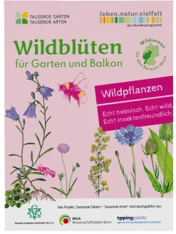 Tausende Gärten – Tausende Arten Wildblumen für Balkon und Garten gebietsheimisch New