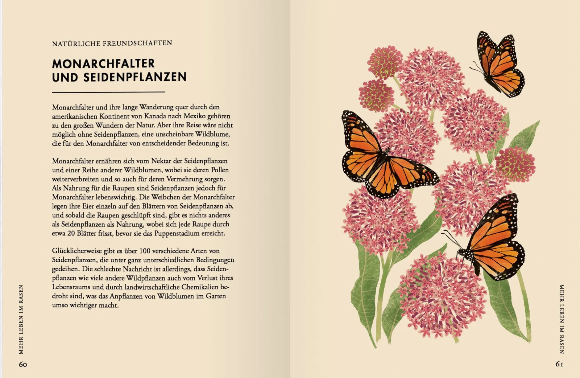 Gerstenberg Verlag Wildblumen pflanzen - Nektarreiche Blüten für hübsche Nützlinge Online