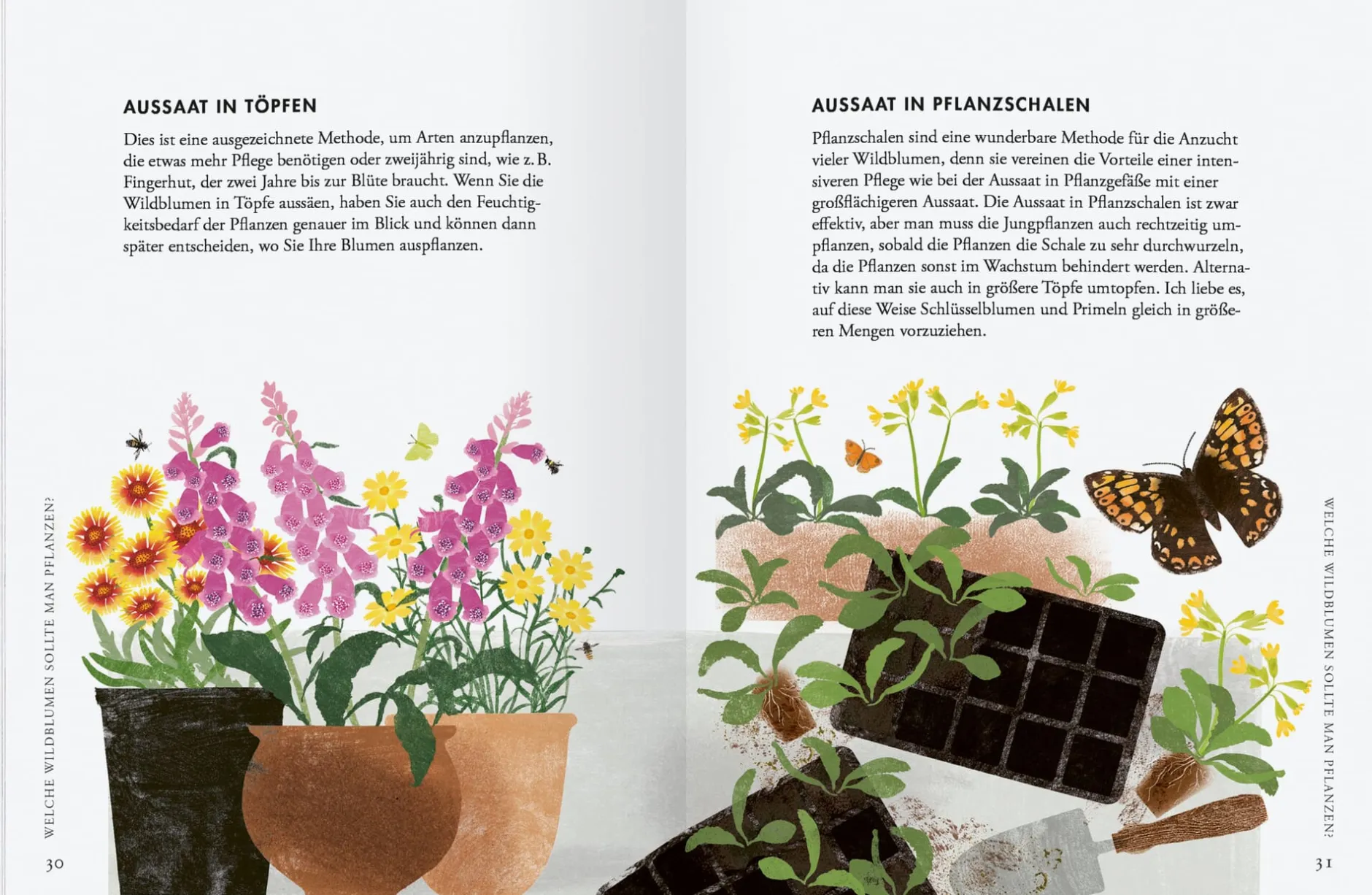 Gerstenberg Verlag Wildblumen pflanzen - Nektarreiche Blüten für hübsche Nützlinge Online