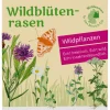 Tausende Gärten – Tausende Arten Wildblumenrasen gebietsheimisch Clearance