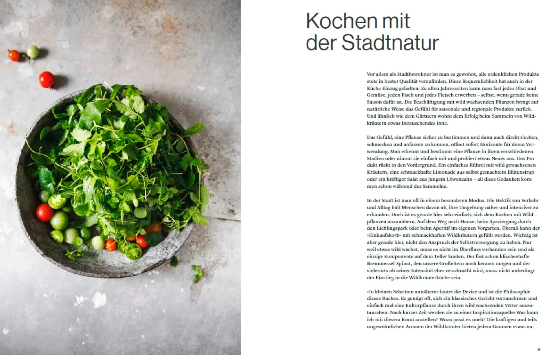 ars vivendi verlag Wilde Stadt