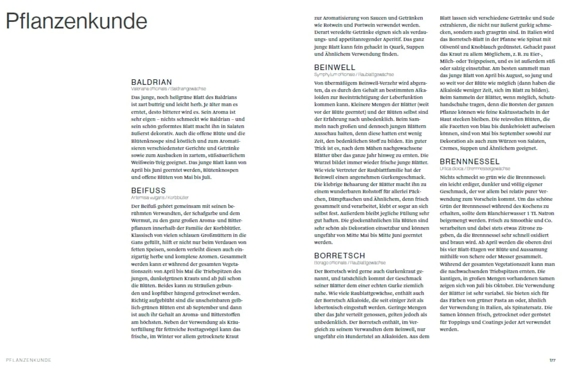 ars vivendi verlag Wilde Stadt