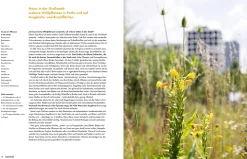 Becker Joest Volk Verlag Wildkräuter New