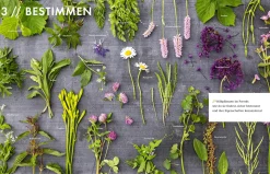 Becker Joest Volk Verlag Wildkräuter New