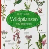 BLV Buchverlag Wildpflanzen neu entdecken Hot