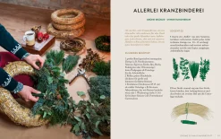 Christian Brandstätter Verlag Wintergrün & Sternanis Discount