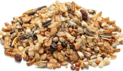 Claus Wintermischung für Weich- und Körnerfresser Sale