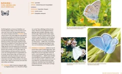 Löwenzahn Verlag Wo die wilden Nützlinge wohnen