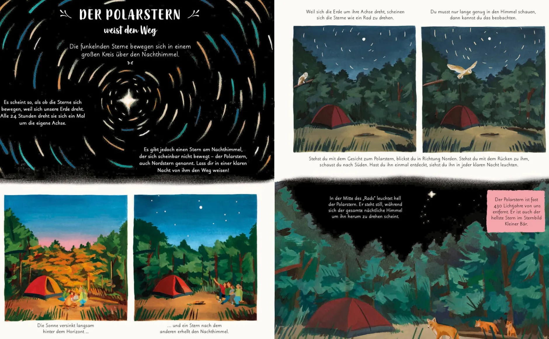 Prestel Verlag Wunder der Natur Clearance