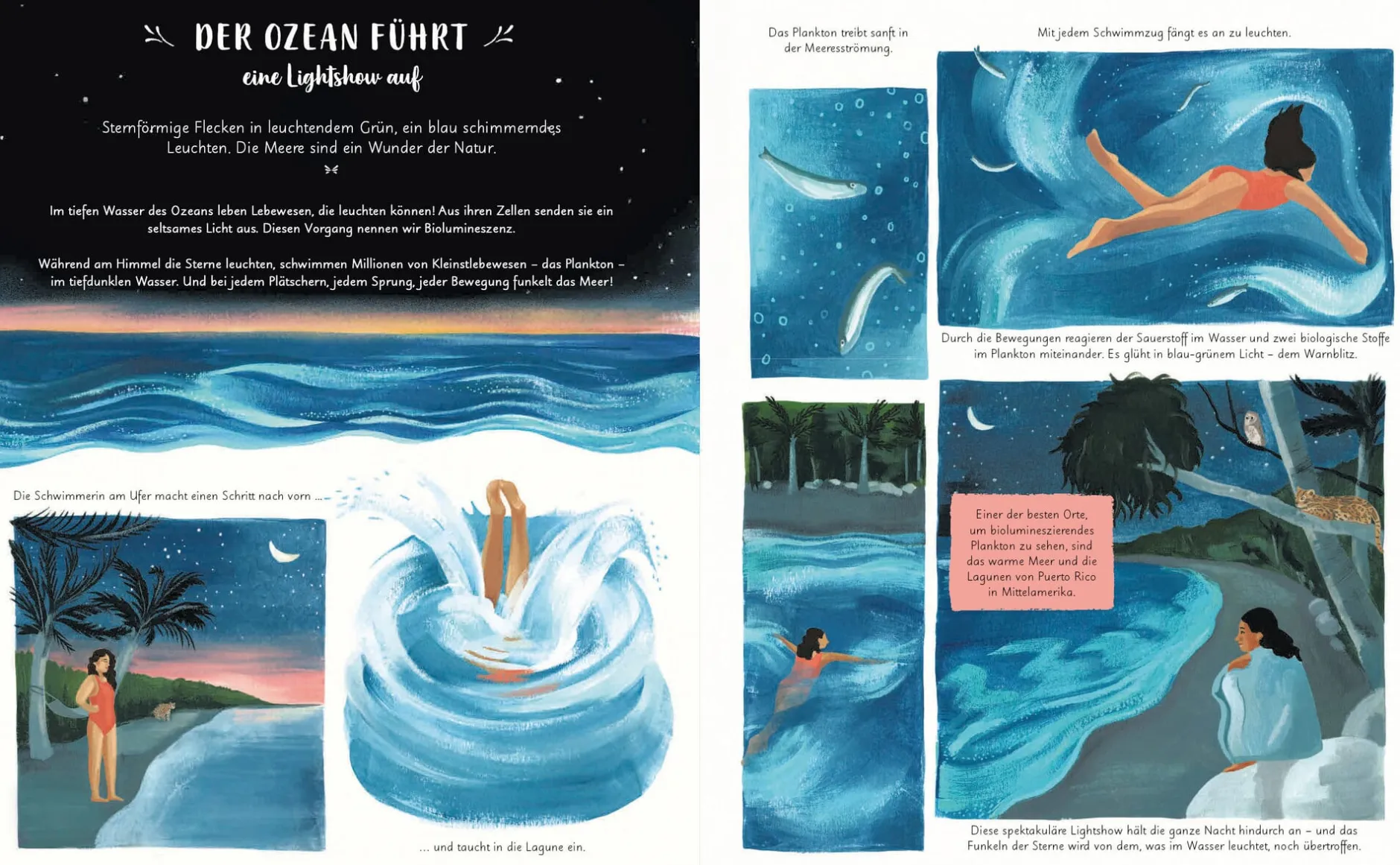 Prestel Verlag Wunder der Natur Clearance