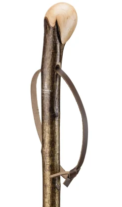 Gastrock-Stöcke Wurzelwanderstock Hasel New