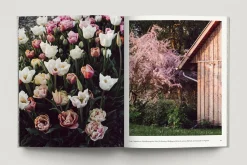 Prestel Verlag Zu den Wiesen Best